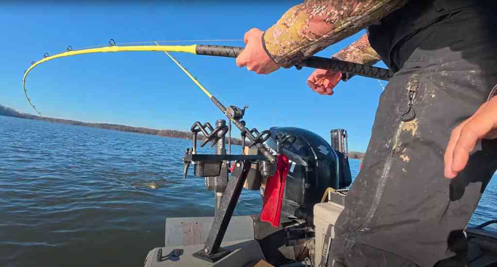 A heart-pounding moment: the rod tip nearly touches the water as a stubborn catfish tries to escape beneath the boat