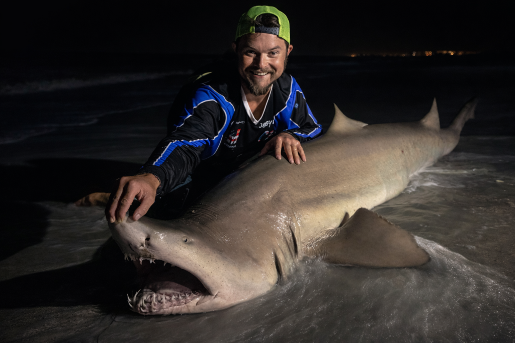Bobby Win kneels in the surf at night beside a large shark, holding it steady for a quick photo before release.